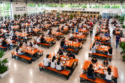 โต๊ะโรงอาหาร MODERN-X ไม้เต็งขาไขว้ มุมมองด้านข้างและรายละเอียดวัสดุ